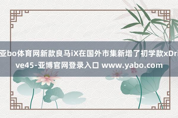 亚bo体育网新款良马iX在国外市集新增了初学款xDrive45-亚博官网登录入口 www.yabo.com