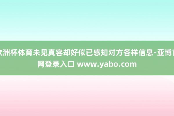 欧洲杯体育未见真容却好似已感知对方各样信息-亚博官网登录入口 www.yabo.com