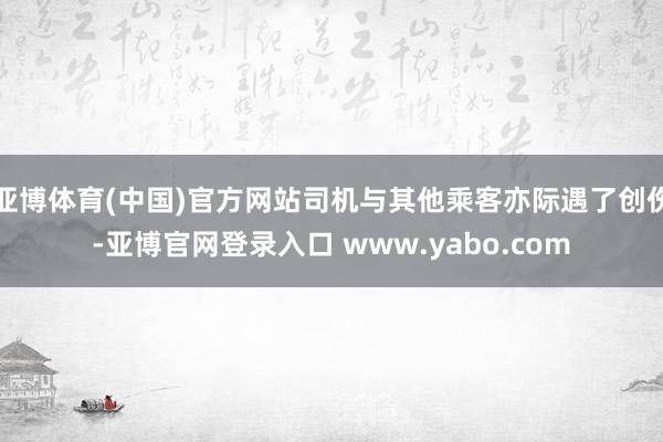 亚博体育(中国)官方网站司机与其他乘客亦际遇了创伤-亚博官网登录入口 www.yabo.com