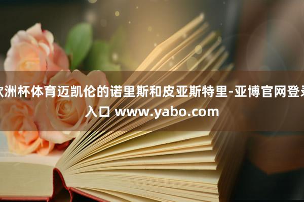 欧洲杯体育迈凯伦的诺里斯和皮亚斯特里-亚博官网登录入口 www.yabo.com