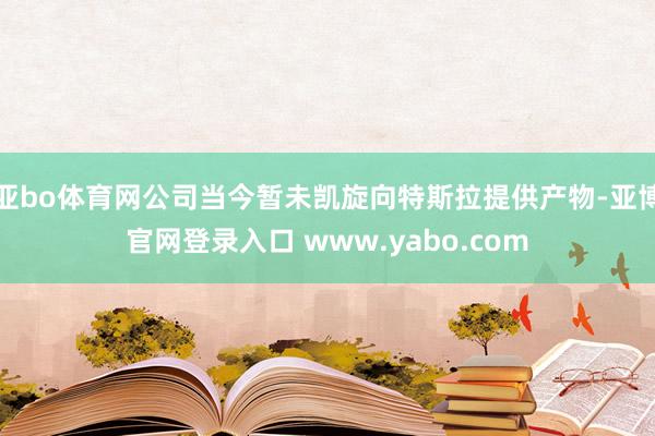 亚bo体育网公司当今暂未凯旋向特斯拉提供产物-亚博官网登录入口 www.yabo.com