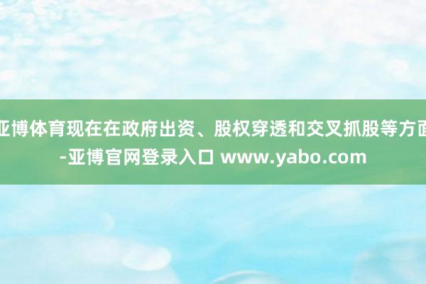 亚博体育现在在政府出资、股权穿透和交叉抓股等方面-亚博官网登录入口 www.yabo.com