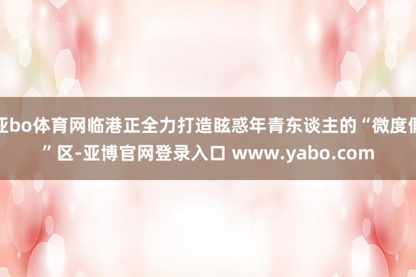 亚bo体育网临港正全力打造眩惑年青东谈主的“微度假”区-亚博官网登录入口 www.yabo.com