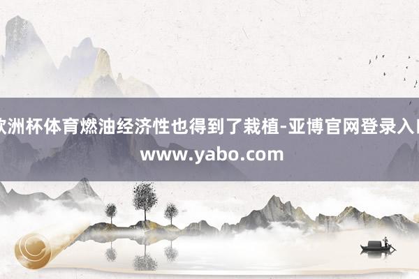 欧洲杯体育燃油经济性也得到了栽植-亚博官网登录入口 www.yabo.com