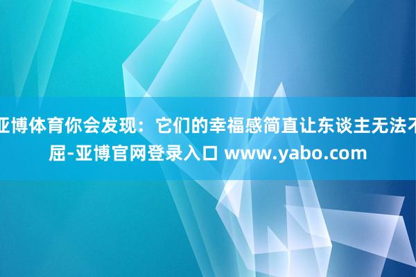 亚博体育你会发现：它们的幸福感简直让东谈主无法不屈-亚博官网登录入口 www.yabo.com