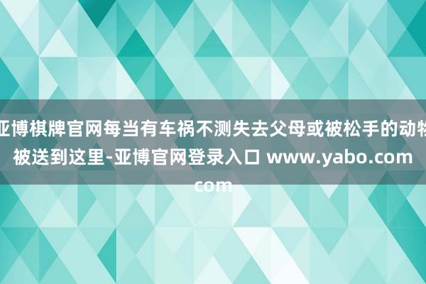 亚博棋牌官网每当有车祸不测失去父母或被松手的动物被送到这里-亚博官网登录入口 www.yabo.com