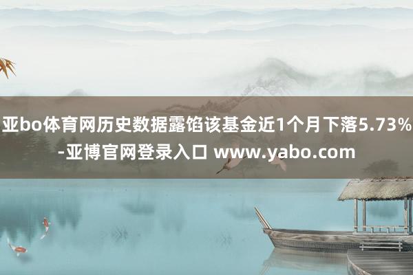亚bo体育网历史数据露馅该基金近1个月下落5.73%-亚博官网登录入口 www.yabo.com