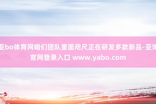 亚bo体育网咱们团队里面咫尺正在研发多款新品-亚博官网登录入口 www.yabo.com