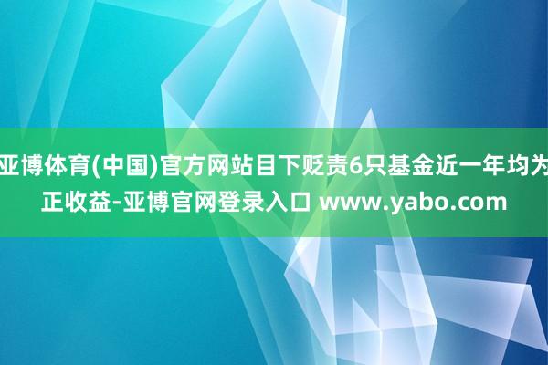 亚博体育(中国)官方网站目下贬责6只基金近一年均为正收益-亚博官网登录入口 www.yabo.com