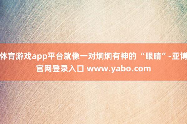 体育游戏app平台就像一对炯炯有神的 “眼睛”-亚博官网登录入口 www.yabo.com