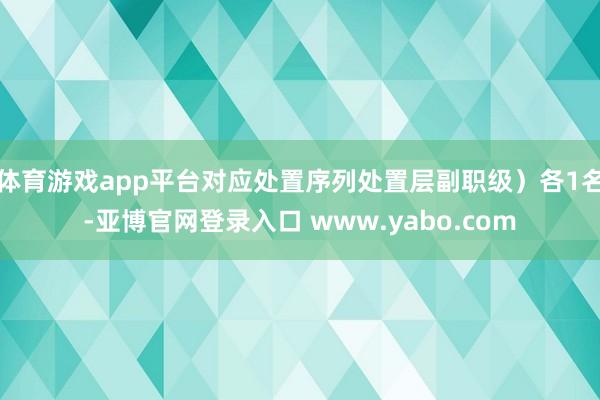 体育游戏app平台对应处置序列处置层副职级）各1名-亚博官网登录入口 www.yabo.com