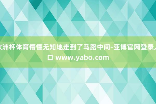 欧洲杯体育懵懂无知地走到了马路中间-亚博官网登录入口 www.yabo.com