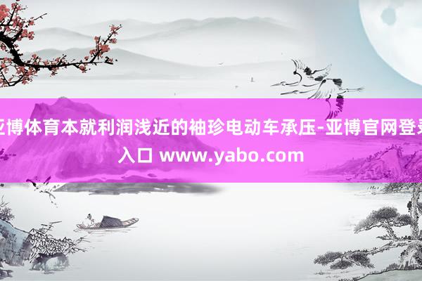 亚博体育本就利润浅近的袖珍电动车承压-亚博官网登录入口 www.yabo.com