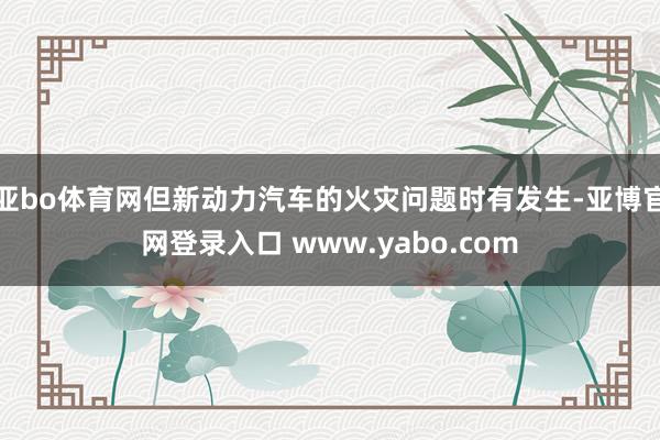 亚bo体育网但新动力汽车的火灾问题时有发生-亚博官网登录入口 www.yabo.com
