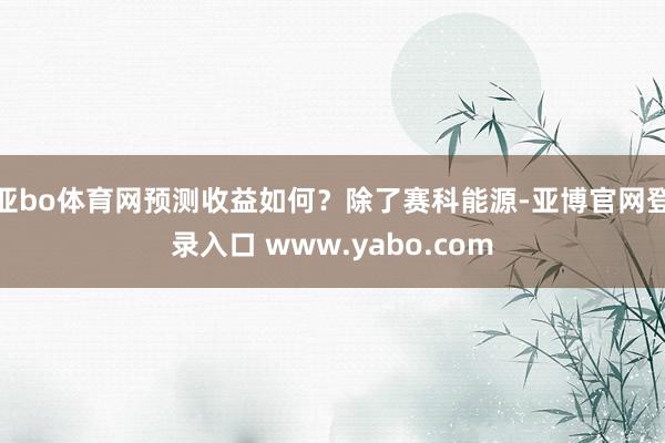 亚bo体育网预测收益如何？除了赛科能源-亚博官网登录入口 www.yabo.com