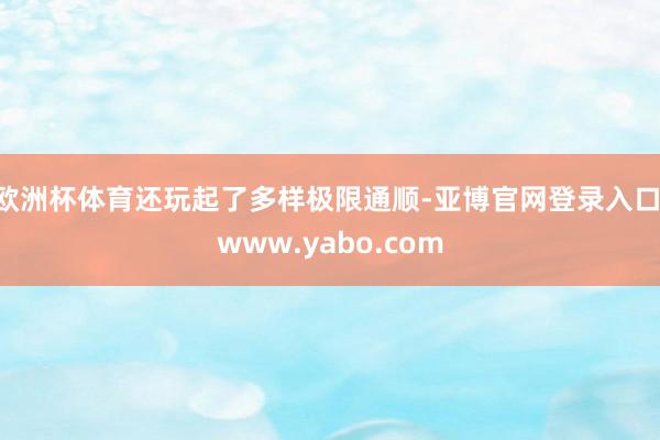 欧洲杯体育还玩起了多样极限通顺-亚博官网登录入口 www.yabo.com