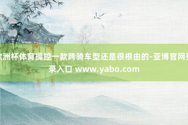 欧洲杯体育操控一款跨骑车型还是很根由的-亚博官网登录入口 www.yabo.com