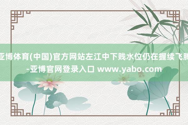 亚博体育(中国)官方网站左江中下贱水位仍在握续飞腾-亚博官网登录入口 www.yabo.com