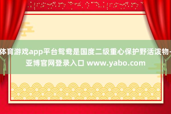 体育游戏app平台鸳鸯是国度二级重心保护野活泼物-亚博官网登录入口 www.yabo.com