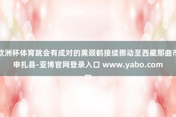 欧洲杯体育就会有成对的黑颈鹤接续挪动至西藏那曲市申扎县-亚博官网登录入口 www.yabo.com