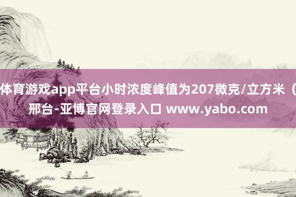 体育游戏app平台小时浓度峰值为207微克/立方米（邢台-亚博官网登录入口 www.yabo.com