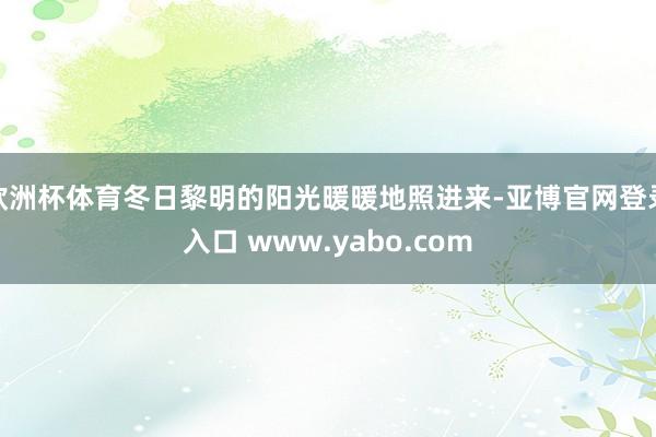 欧洲杯体育冬日黎明的阳光暖暖地照进来-亚博官网登录入口 www.yabo.com