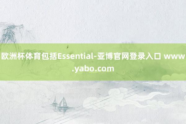 欧洲杯体育包括Essential-亚博官网登录入口 www.yabo.com