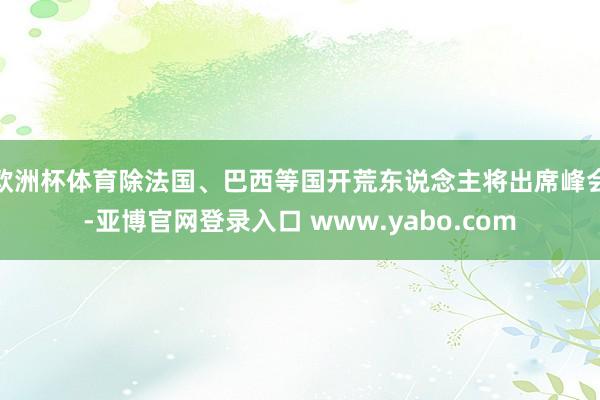欧洲杯体育除法国、巴西等国开荒东说念主将出席峰会-亚博官网登录入口 www.yabo.com