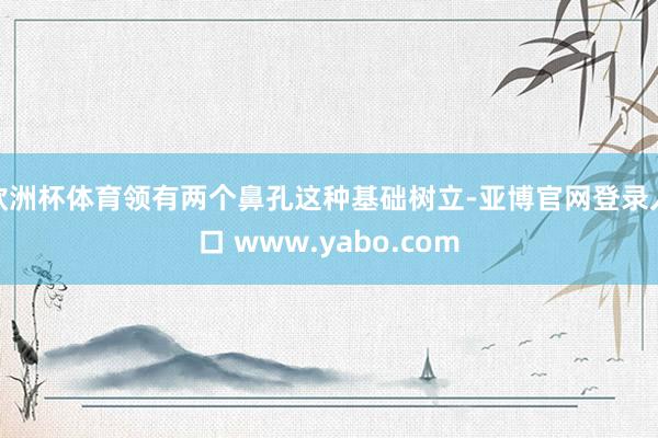 欧洲杯体育领有两个鼻孔这种基础树立-亚博官网登录入口 www.yabo.com