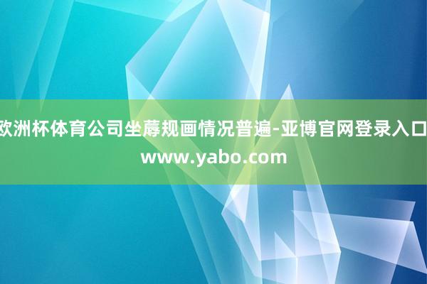 欧洲杯体育公司坐蓐规画情况普遍-亚博官网登录入口 www.yabo.com