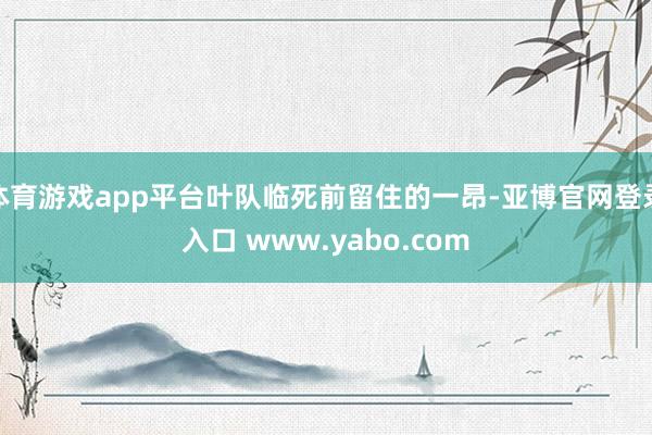 体育游戏app平台叶队临死前留住的一昂-亚博官网登录入口 www.yabo.com