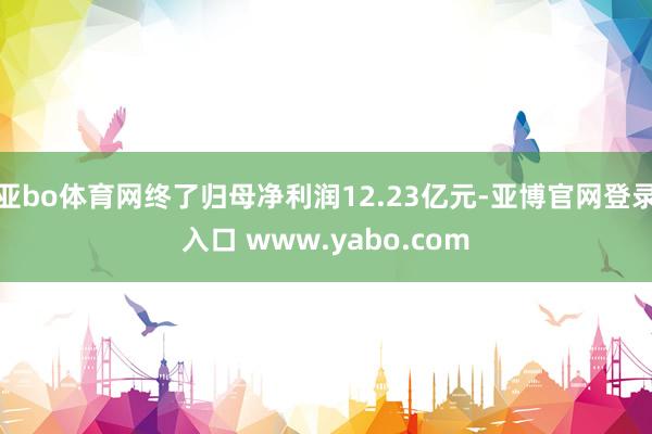 亚bo体育网终了归母净利润12.23亿元-亚博官网登录入口 www.yabo.com