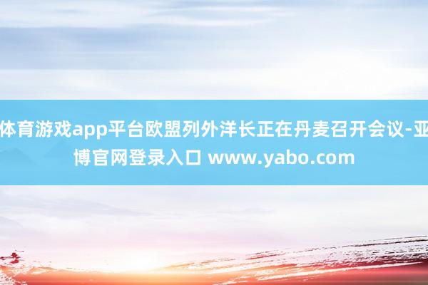 体育游戏app平台欧盟列外洋长正在丹麦召开会议-亚博官网登录入口 www.yabo.com