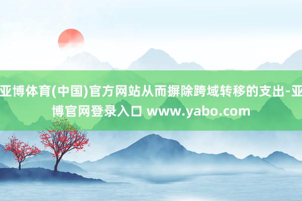 亚博体育(中国)官方网站从而摒除跨域转移的支出-亚博官网登录入口 www.yabo.com