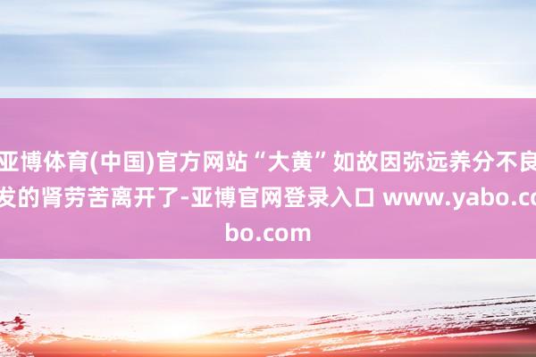 亚博体育(中国)官方网站“大黄”如故因弥远养分不良激发的肾劳苦离开了-亚博官网登录入口 www.yabo.com